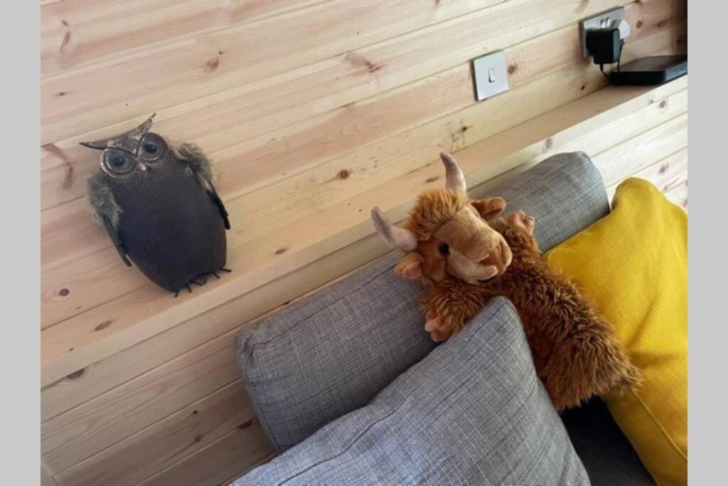 Coorie Doon Cabin! Great Scottish Welcome Форт Аугустус Экстерьер фото